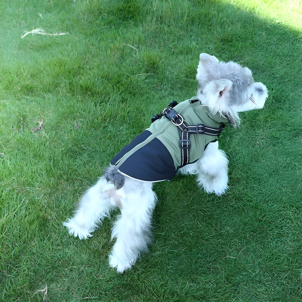 Waterproof polyester pet clothing in army green, red, and sapphire blue for dogs and cats