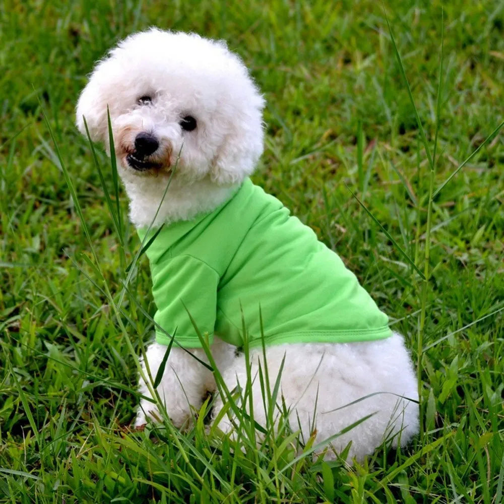 Dog polo shirt with lapel collar in solid colour, cotton blend, sizes XS to XL