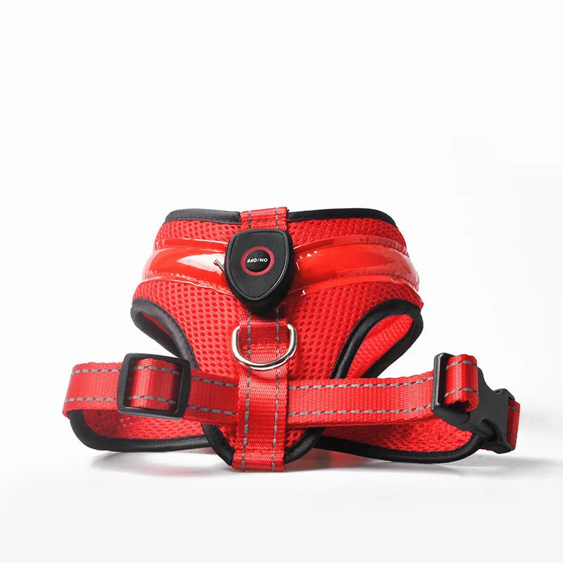 LED luminous dog harness with USB charging, mesh fabric, blue colour, size M, showing front view with battery box and plastic buckle