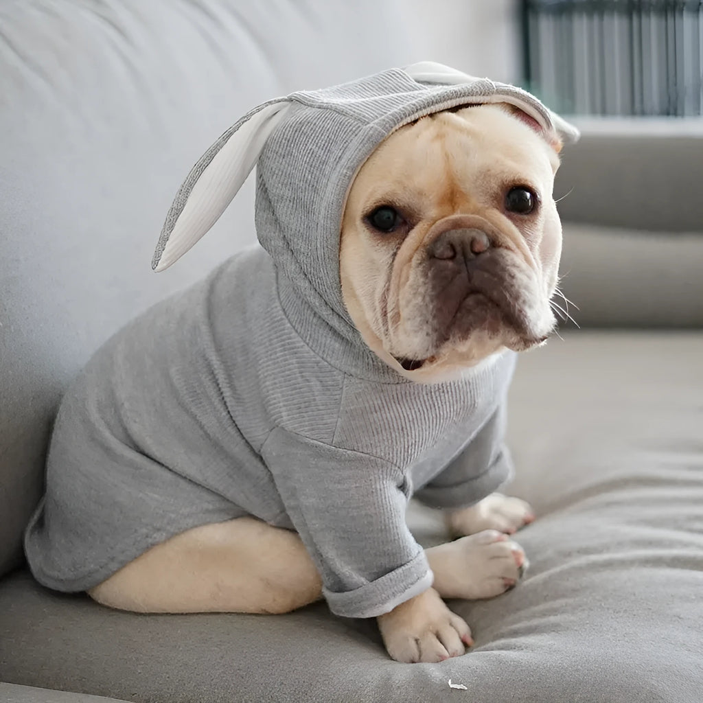 Dog sweater in light grey or pink, spring and autumn pet clothing, sizes S to 3XL with bust and back length measurements