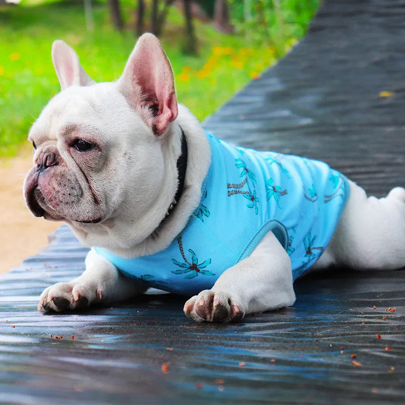 Blue cotton summer dog vest for small breeds like Teddy, thin casual style, front view