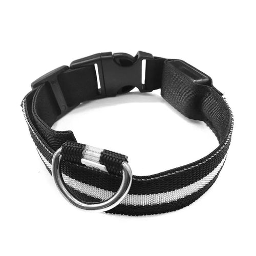 Anti-lost luminous dog collar nylon webbing with battery option in blue colour on white background