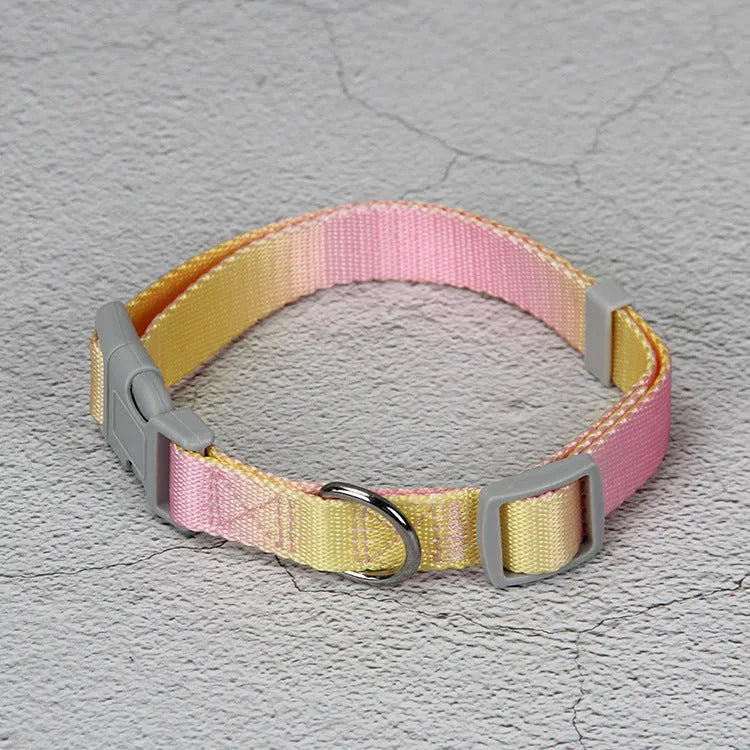 Nylon dog leash set showing gradient colour options including pink blue yellow purple green patterns