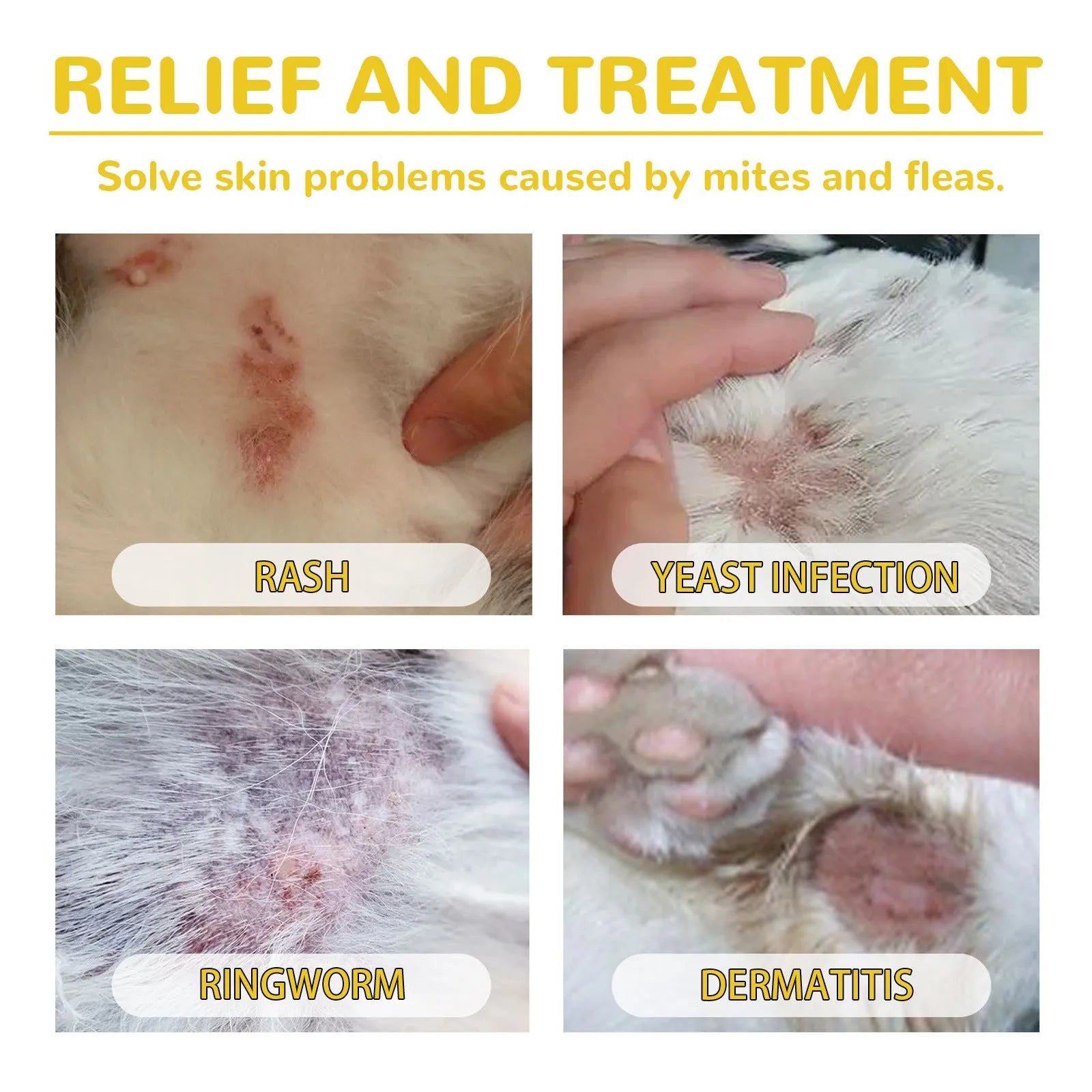 1ml dog insect repellent drops for fleas lice ticks with mugwort and arnica extracts