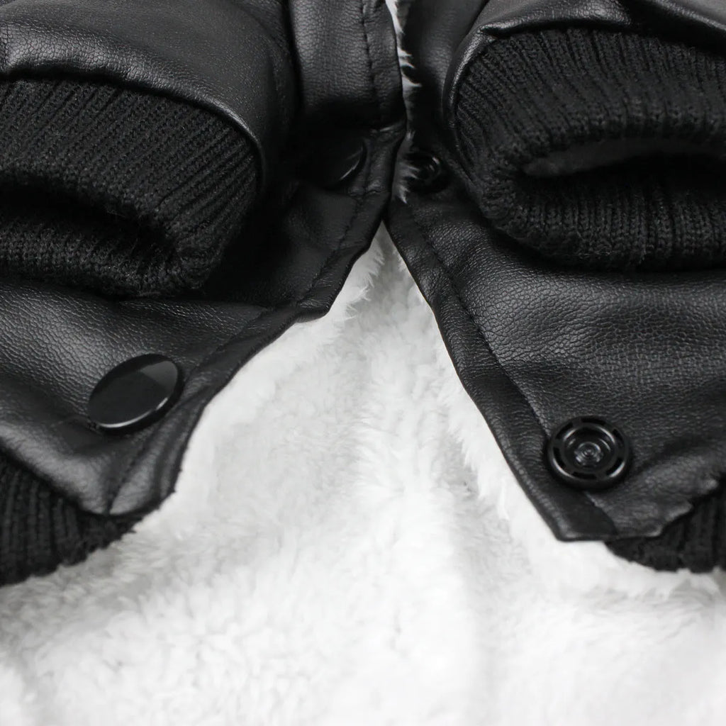 British-style leather dog coat with fur-trimmed collar in black or wine red colour