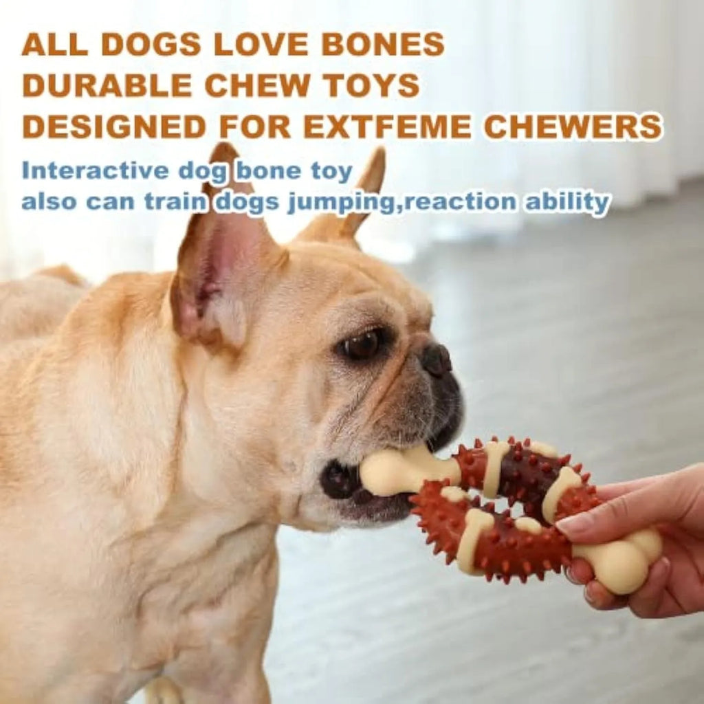 Natural rubber bone-shaped dog molar toy shown in two different sizes for teeth grinding and anxiety relief.