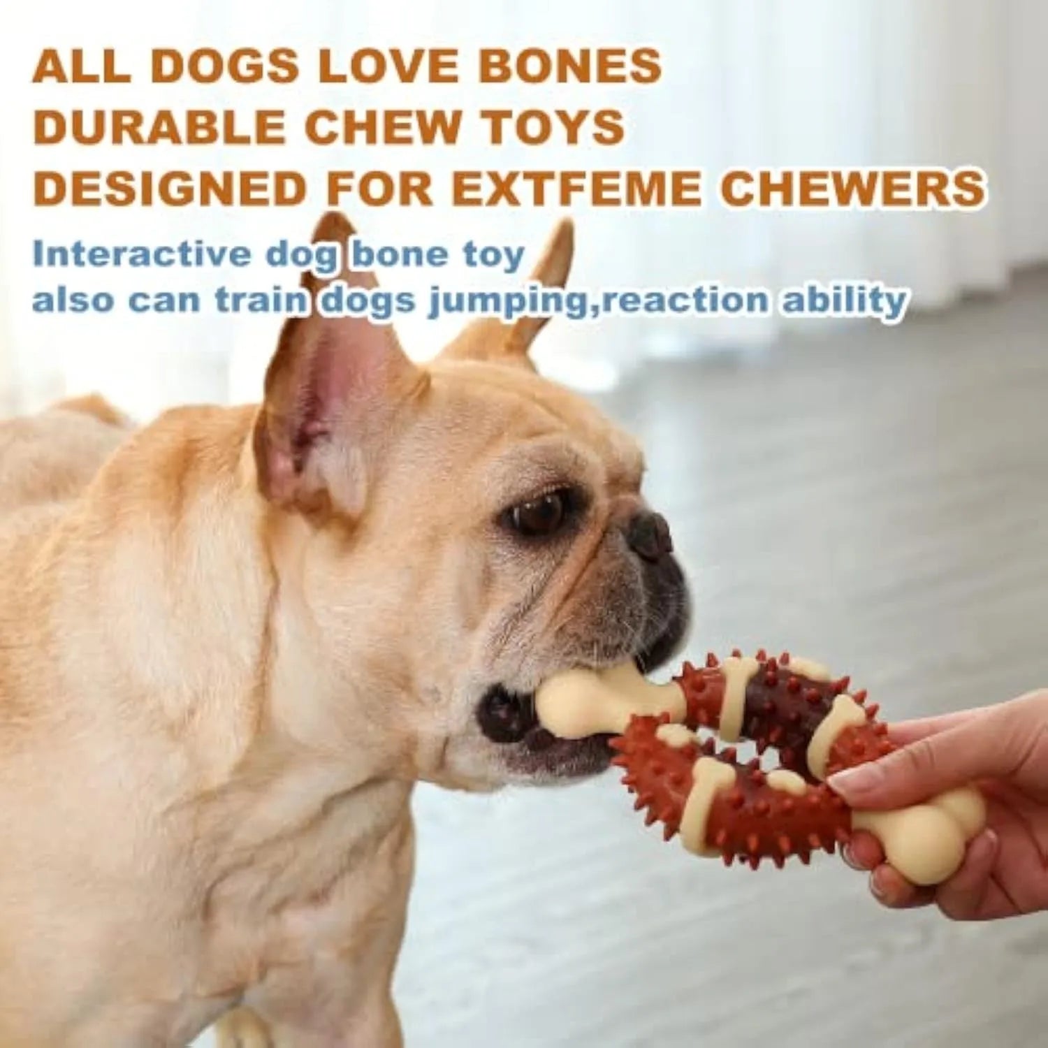 Natural rubber bone-shaped dog molar toy shown in two different sizes for teeth grinding and anxiety relief.