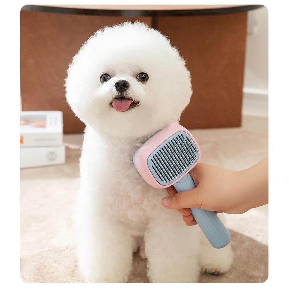 Blue double-sided pet grooming brush showing deshedding rake and dematting comb on a white background.
