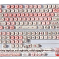 Close-up of a pink PBT key cap featuring a cute sublimated Fragrant Pig design on all sides.