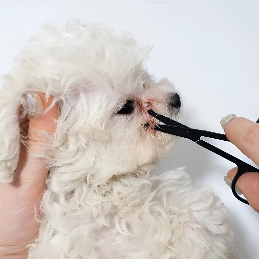 Black pet grooming brush with soft bristles for tear stain removal and comb attachment for dogs and cats