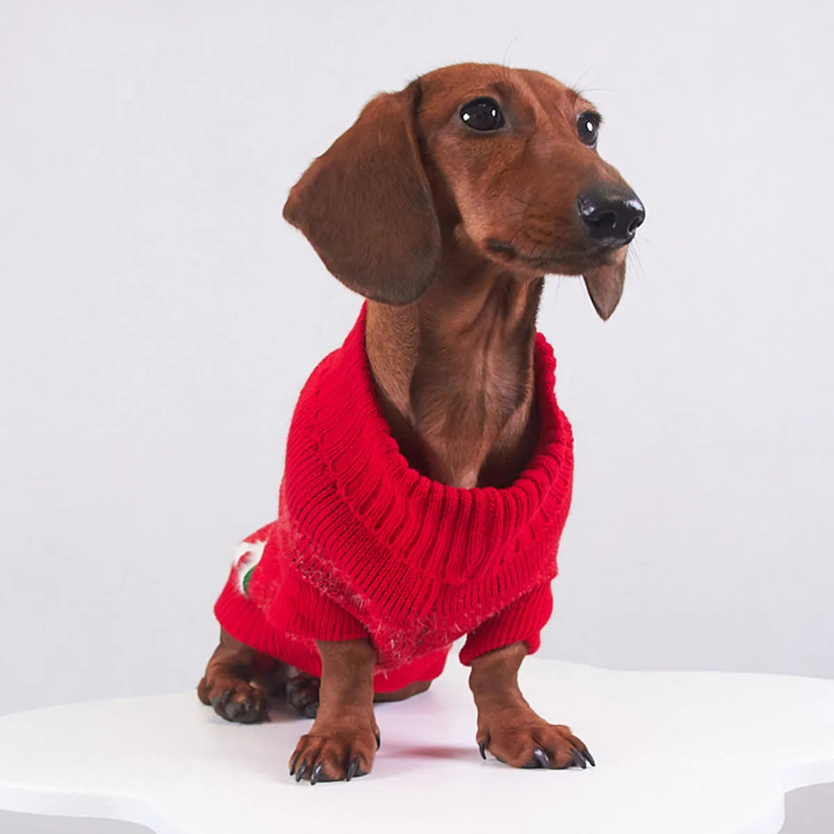 Pet Christmas mink sweater in green on a dog, casual style, soft lining for warmth