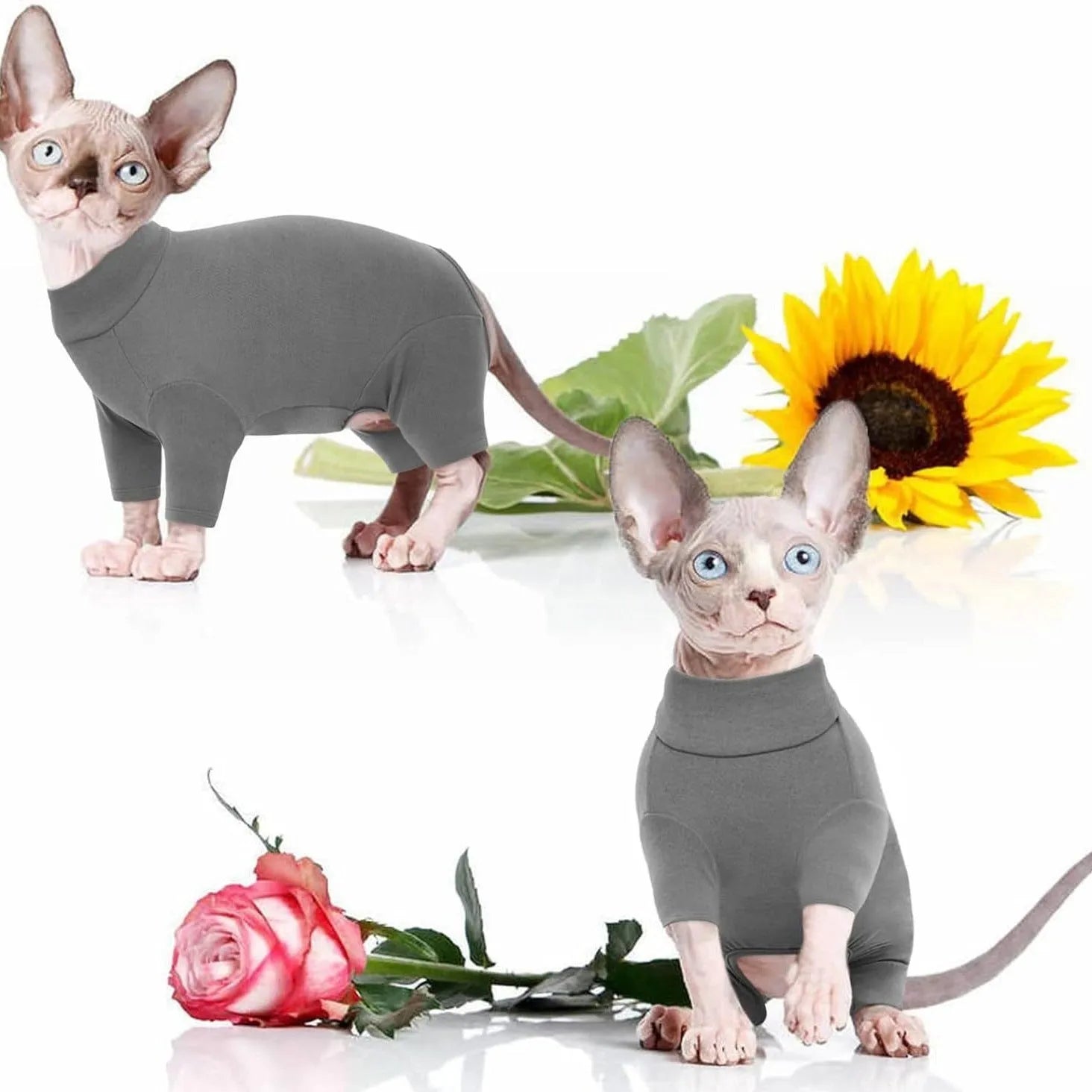 Hairless cat wearing soft winter sweater with leg openings and semi-turtleneck design