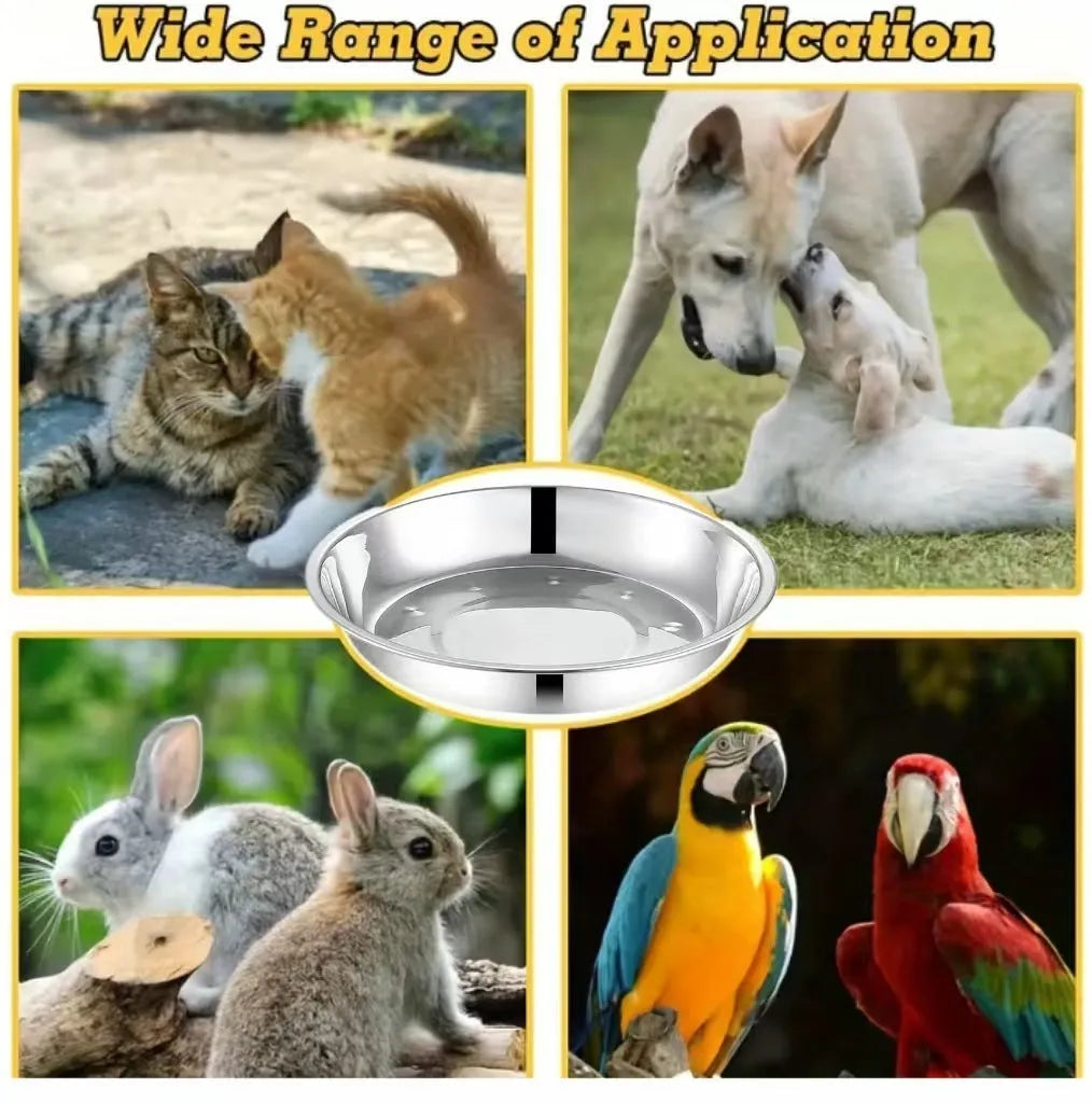 Stainless steel cat feeding bowl thickened pet plate 15cm diameter on light background