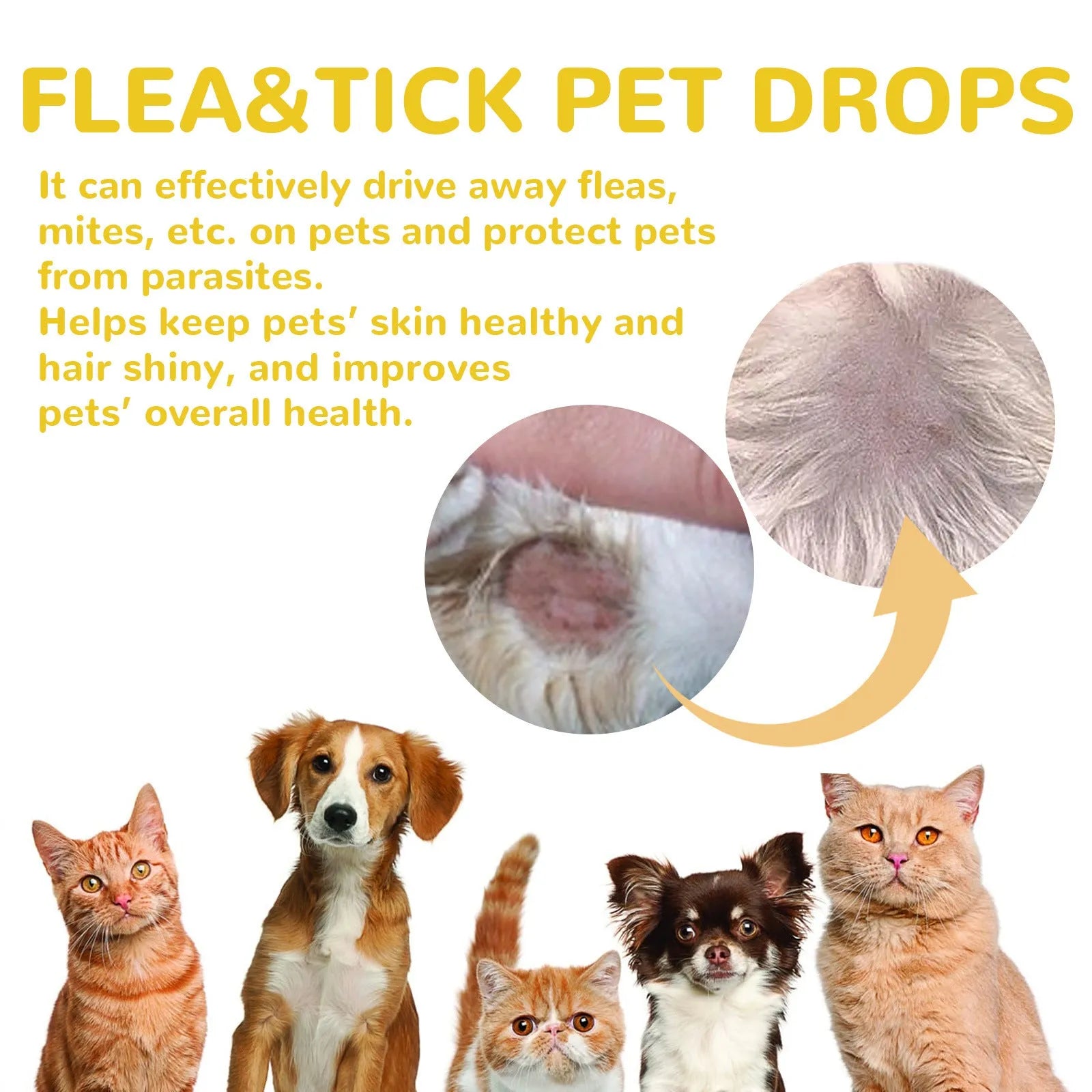 1ml dog insect repellent drops for fleas lice ticks with mugwort and arnica extracts
