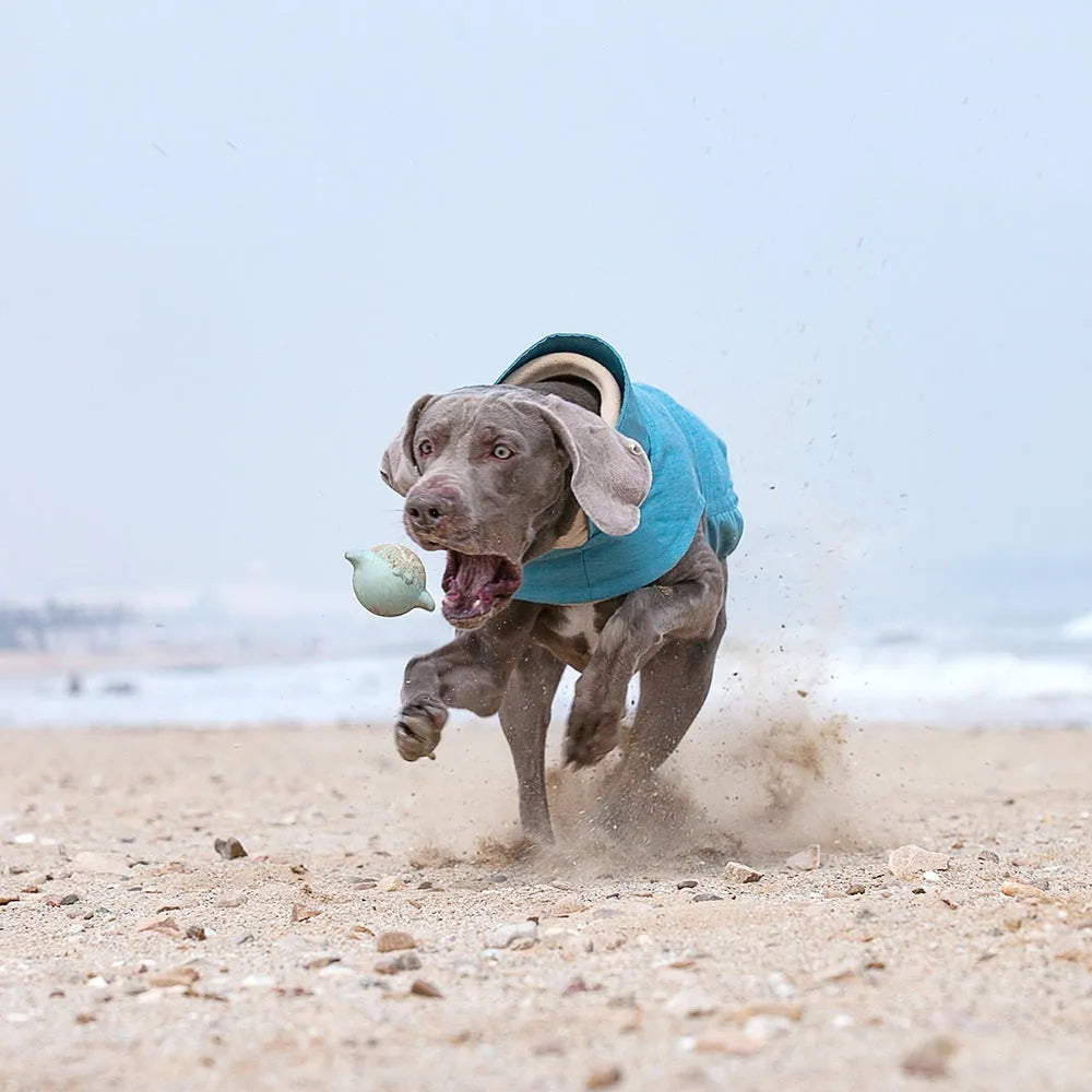 Grey polyester dog vest for a medium large breed on a mannequin.