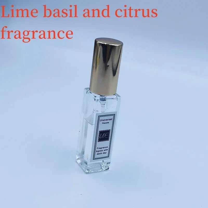 Car aromatherapy stone pendant with essential oil bottle and gift box packaging
