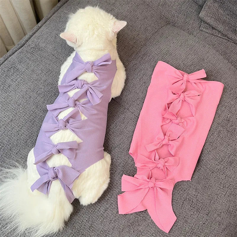 Blue lace-up back cat recovery suit for post-sterilisation care on a grey cat
