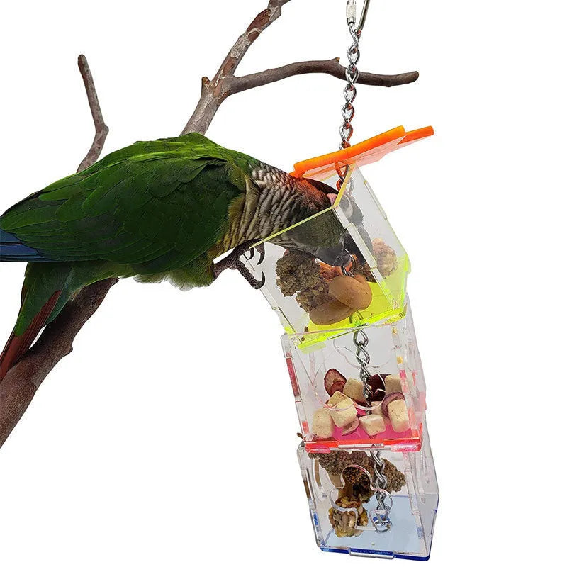Clear acrylic parrot foraging toy measuring 5cm by 32cm for bird food and treats