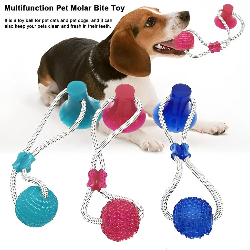 Pet dog rubber sucker molar toy in red colour on smooth surface