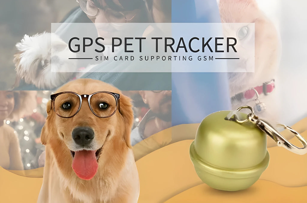 A black GPS tracking unit attached to an adjustable nylon dog collar, showing an LED light.