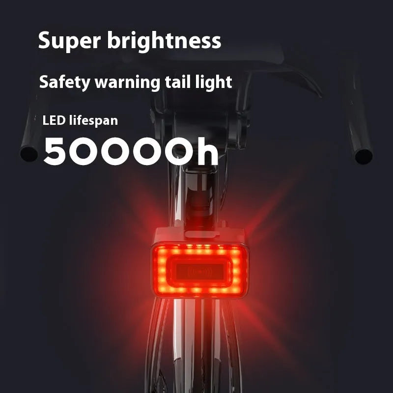 Black radar bicycle tail light with double mounting bracket on a bike seat post