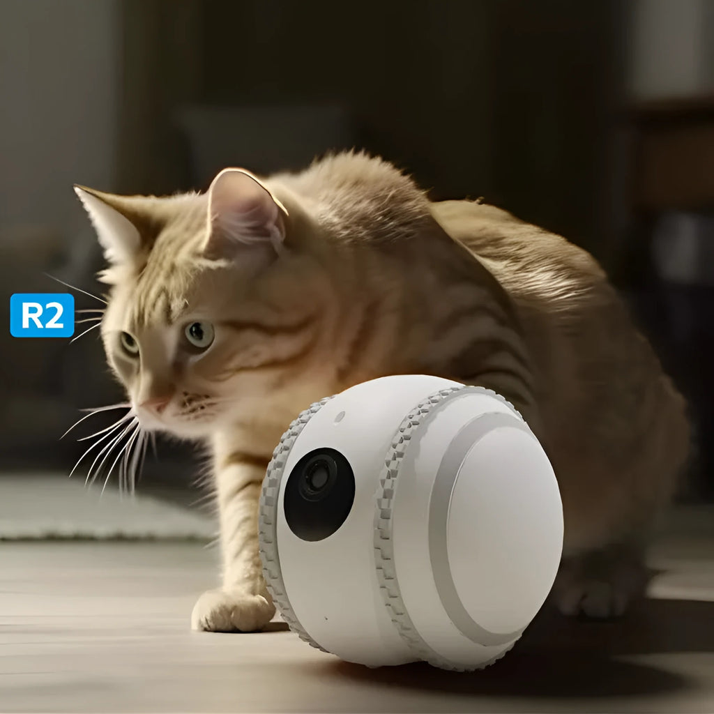 White robot cat electronic pet companion with automatic recharge system