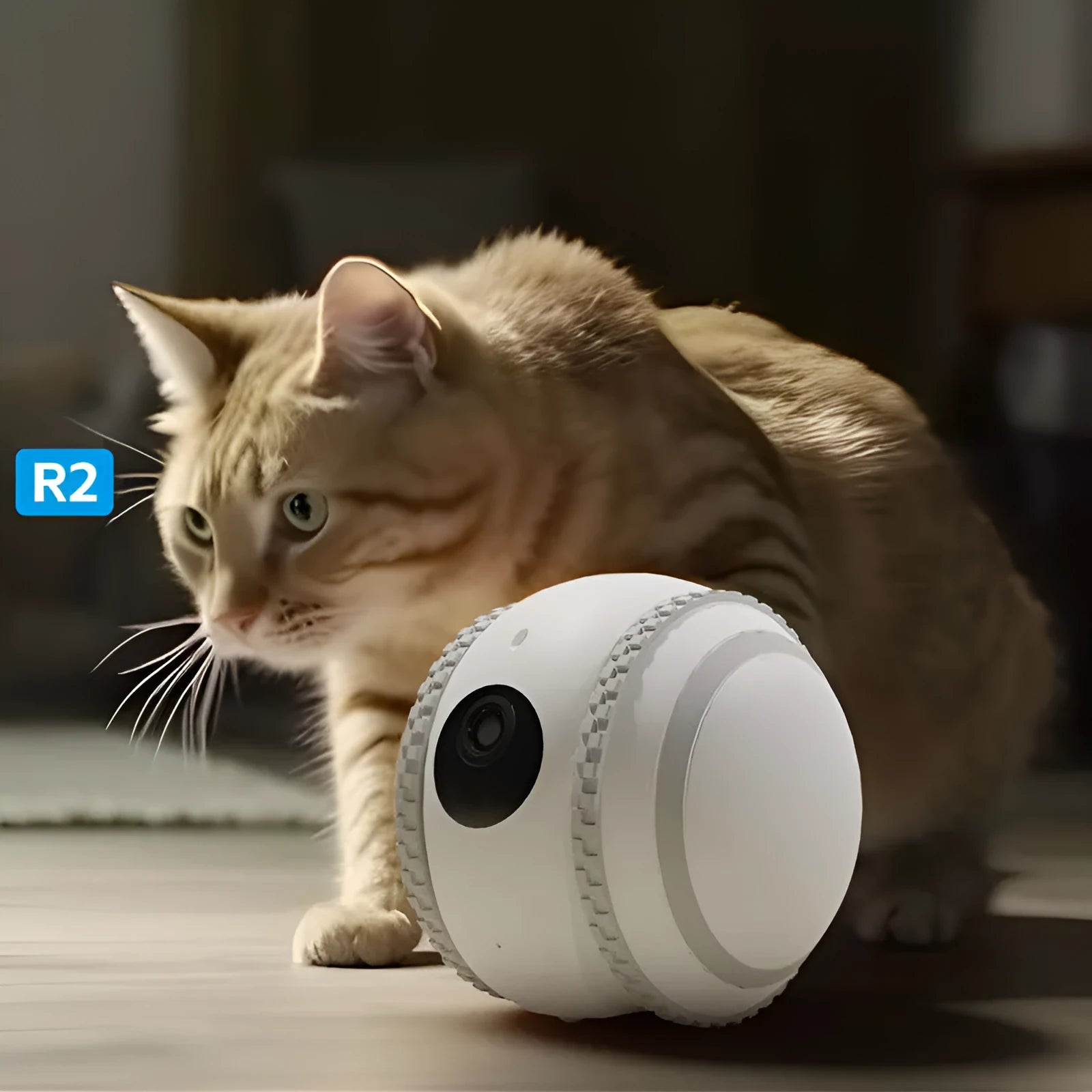 White robot cat electronic pet companion with automatic recharge system