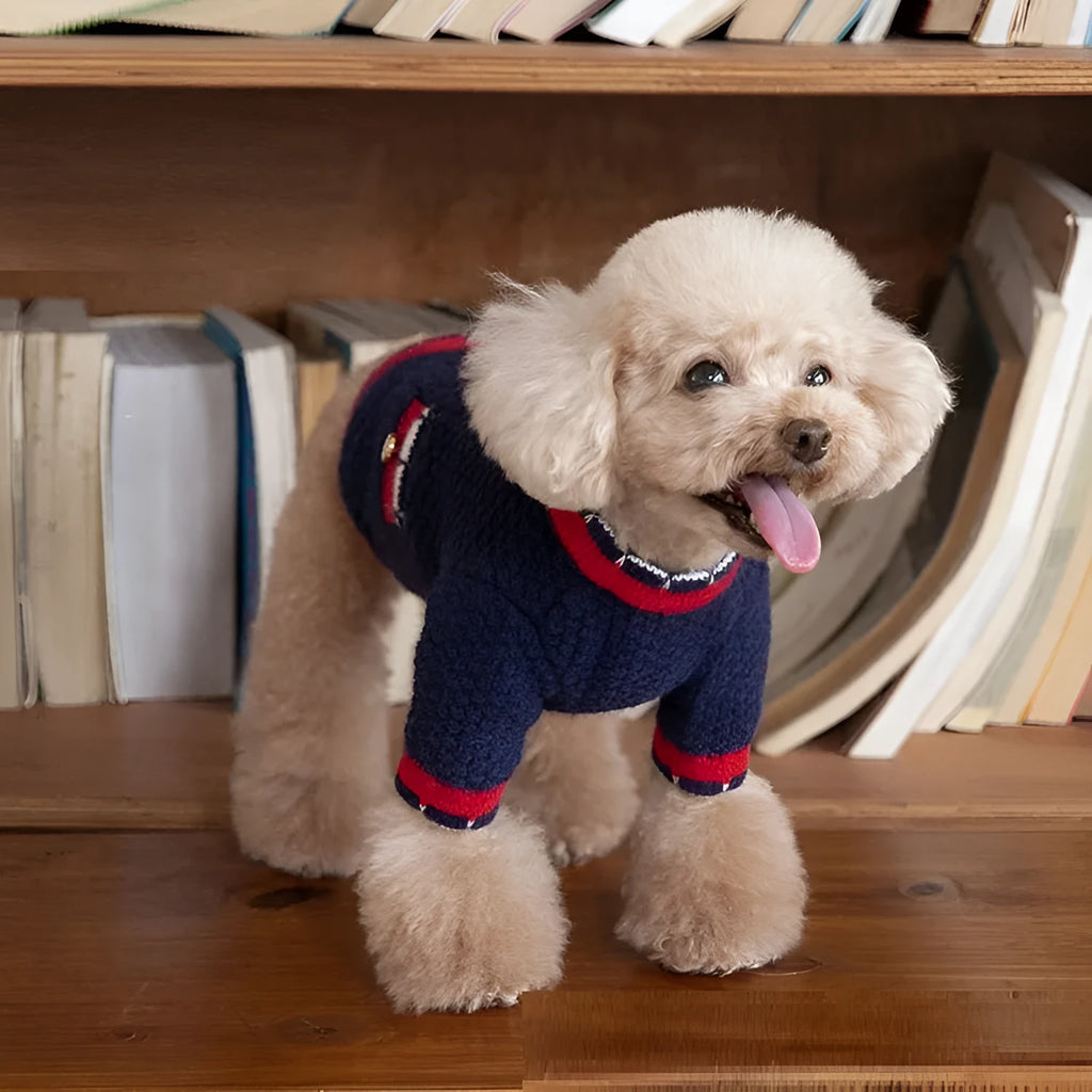 Blue knitted pet sweater cardigan with princess style design for dogs and cats