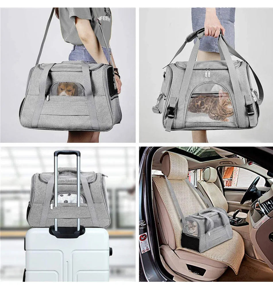 Portable outdoor pet carrier bag in Oxford cloth with side zipper openings, for cats and dogs under 10 kg