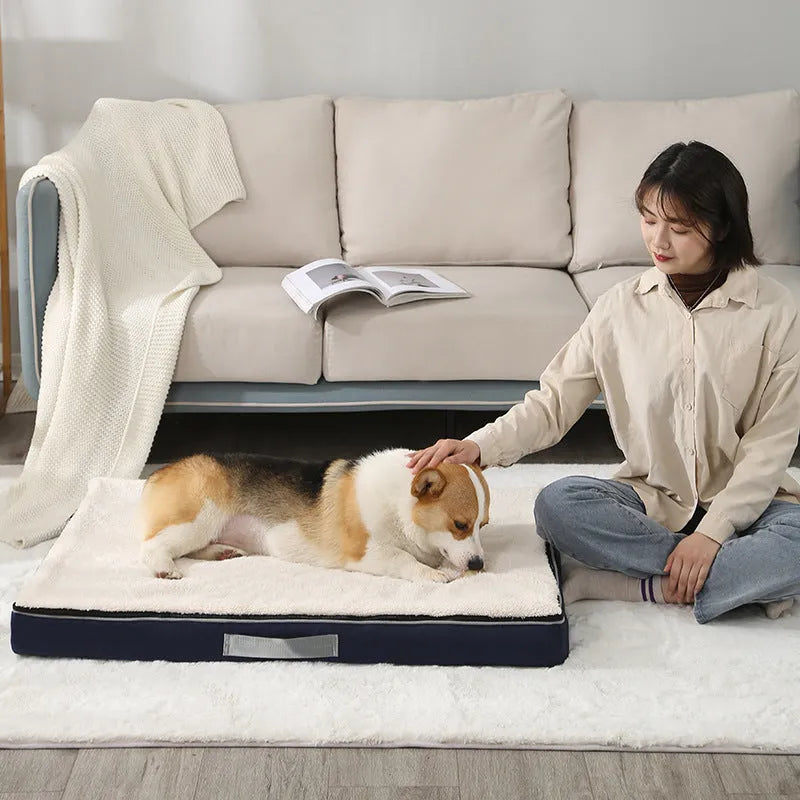 Removable washable sponge dog mat in brown, shown next to size options.