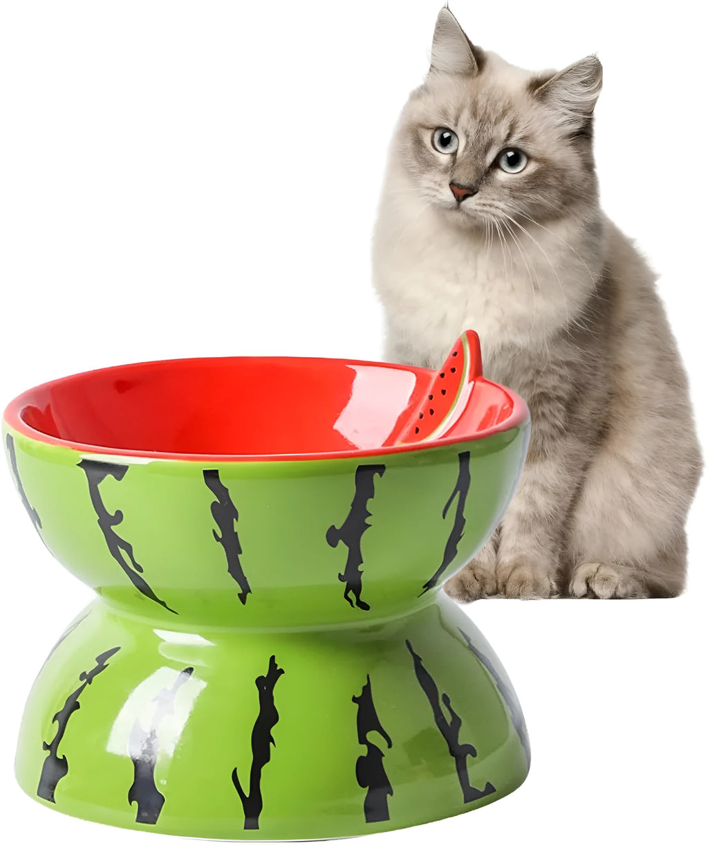Ceramic raised cat bowl with tilted design in home setting