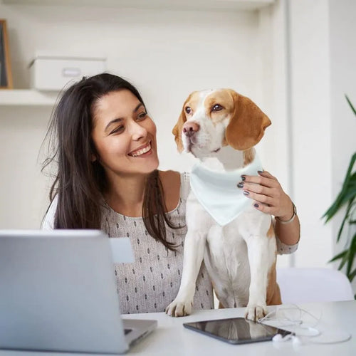 White adjustable polyester dog scarf designed for thermal transfer customisation with four size options