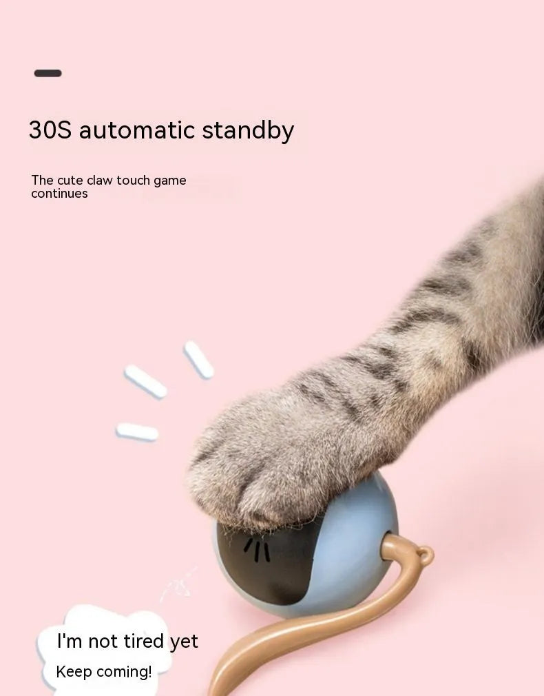 Cat toy electric toy ball in cloudy blue plastic self-moving interactive pet toy