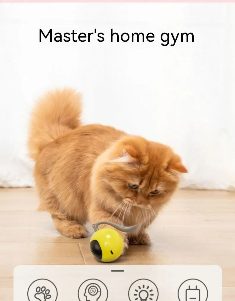 Cat toy electric toy ball in cloudy blue plastic self-moving interactive pet toy