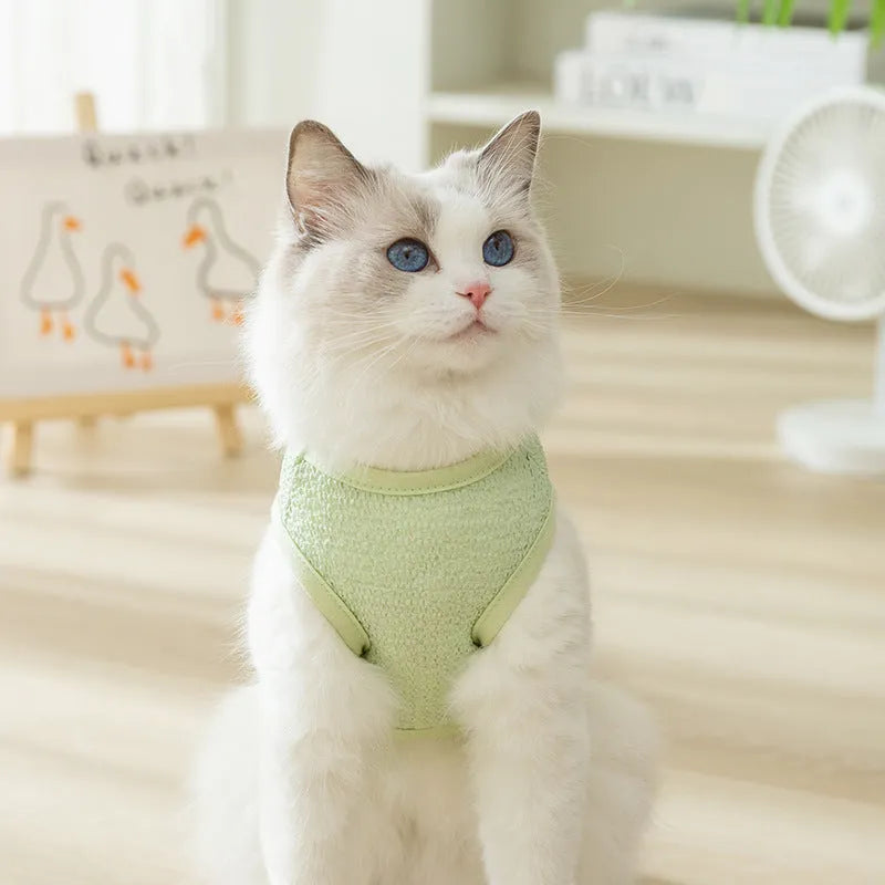 Cat wearing hollowed-out breathable clothes with bear patch in knitted fabric