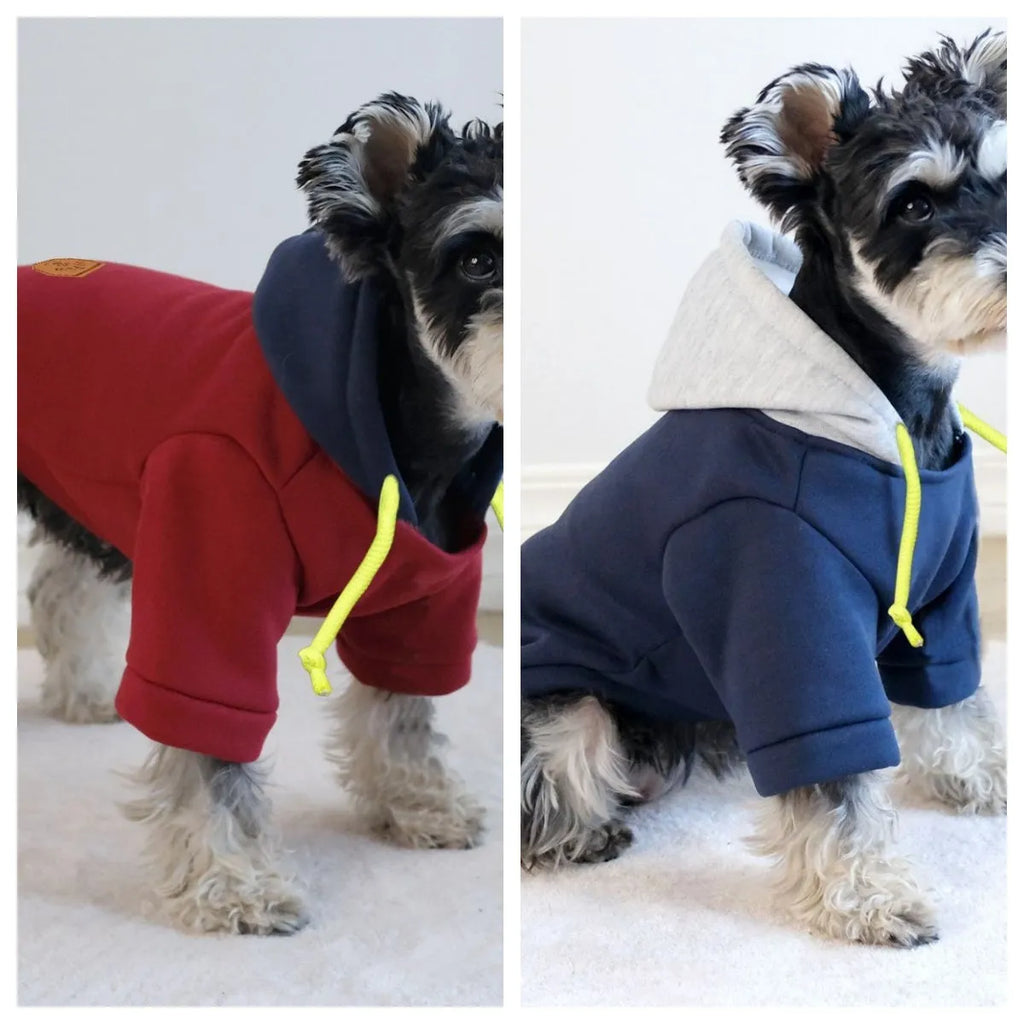 Dark red pet hoodie with contrast colour detailing shown on dog, hooded pullover design