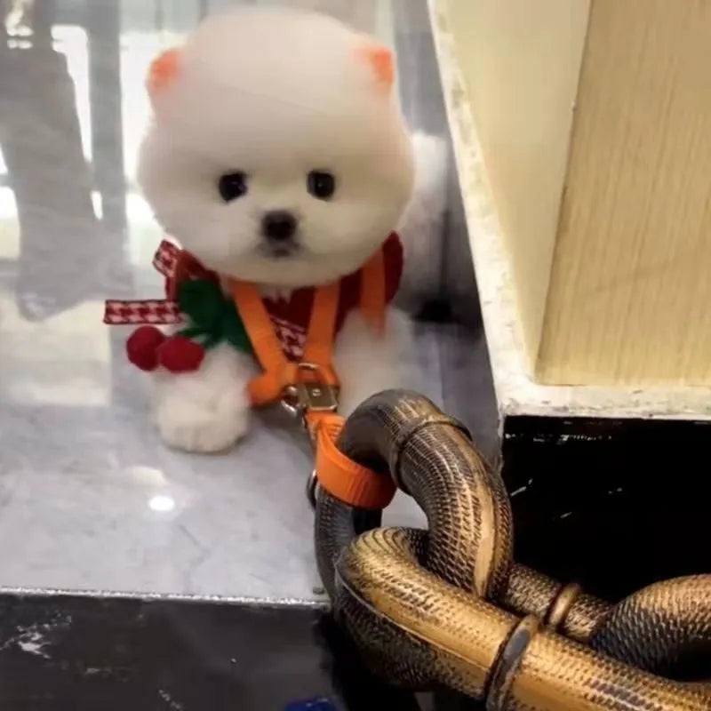 Large bronze coloured plastic dog leash prop on a white background.