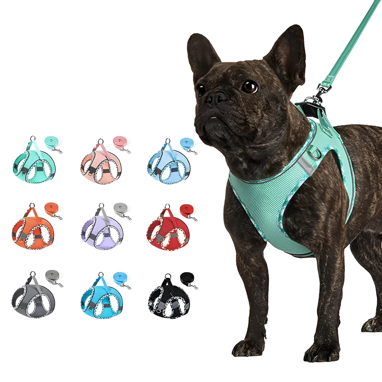 Step-in dog harness with leash showing breathable mesh and reflective vest design