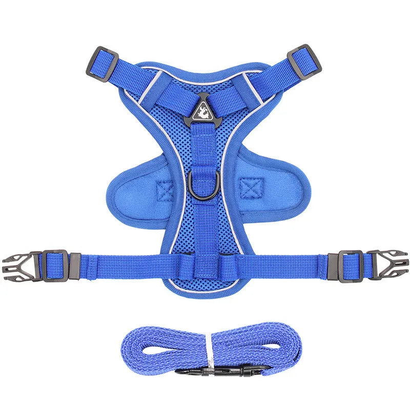 Cat anti-breakaway chest harness with 1.5-metre flat rope lead in grey, silver gradient chain detail