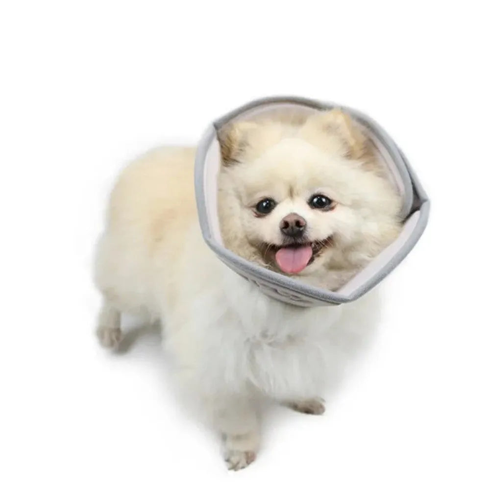 Adjustable soft cone protective collar for cats and dogs after surgery, available in multiple sizes S to XXL