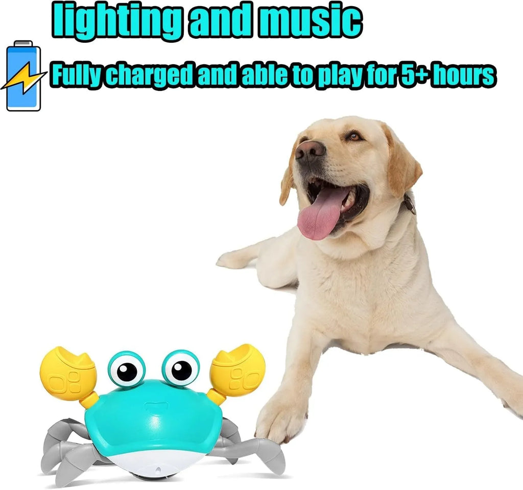 Blue and red electronic crawling crab dog toy with lights on, shown next to a charging cable.