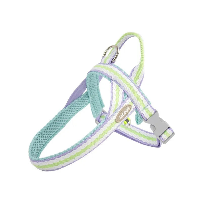 Lightweight dog harness and 1.4-metre walking rope set in various colours on a size chart