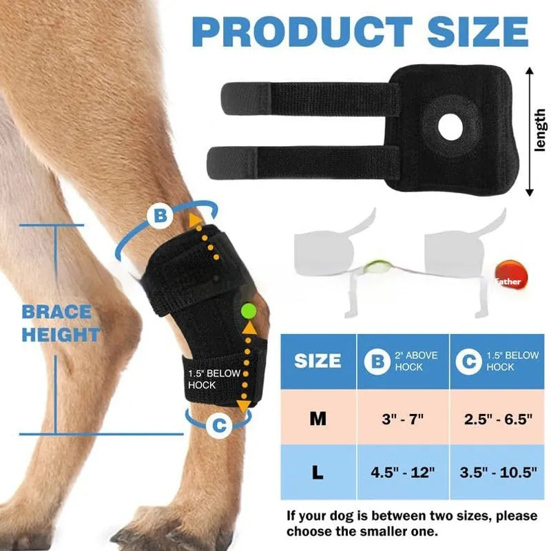 Black adjustable polyester pet leg guard for joint support and injury protection.