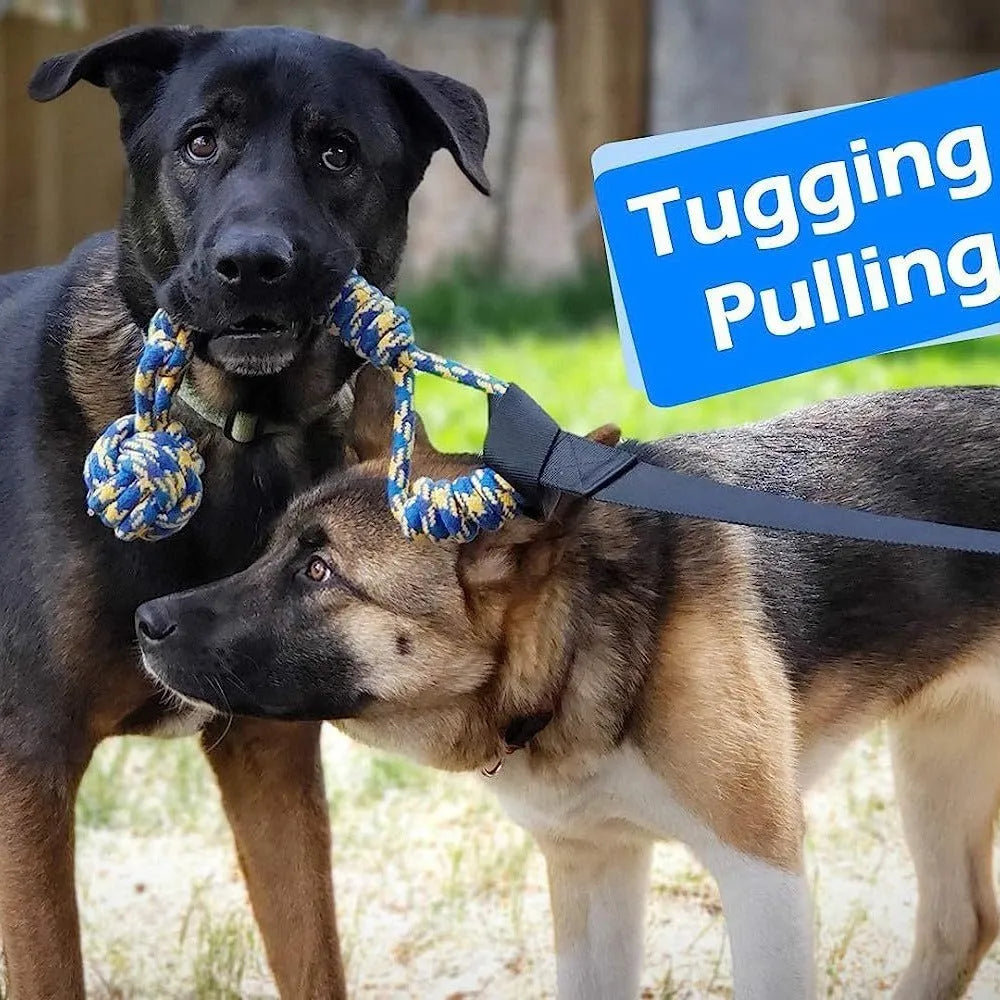 Cotton thread dog tug of war rope toy in green corncob style for biting and pulling play.