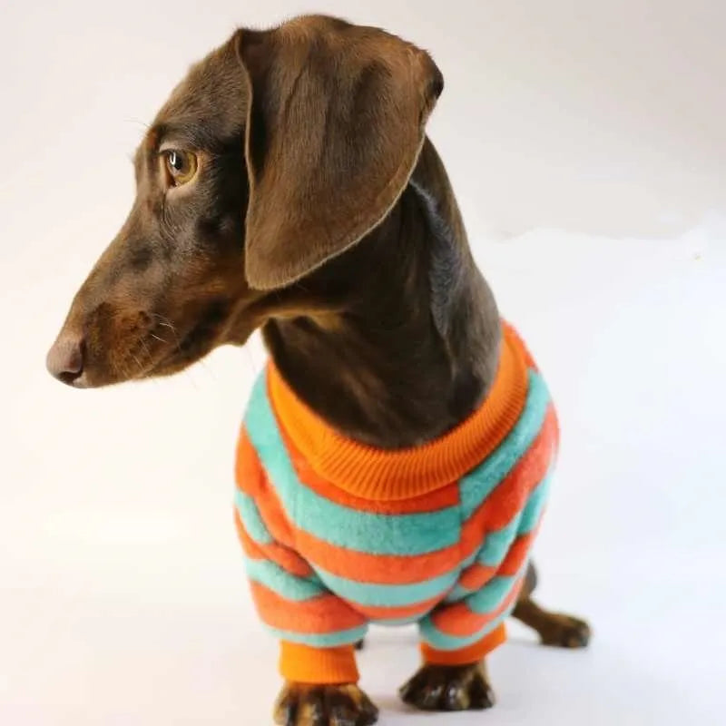 Orange and white striped round neck sweatshirt for a dog or cat on a mannequin.