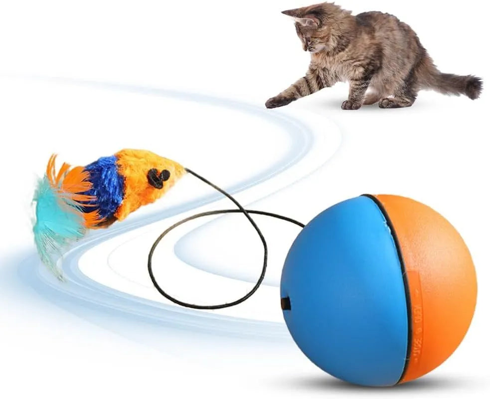 Automatic self-rolling blue and orange ball toy for cats and dogs on indoor floor