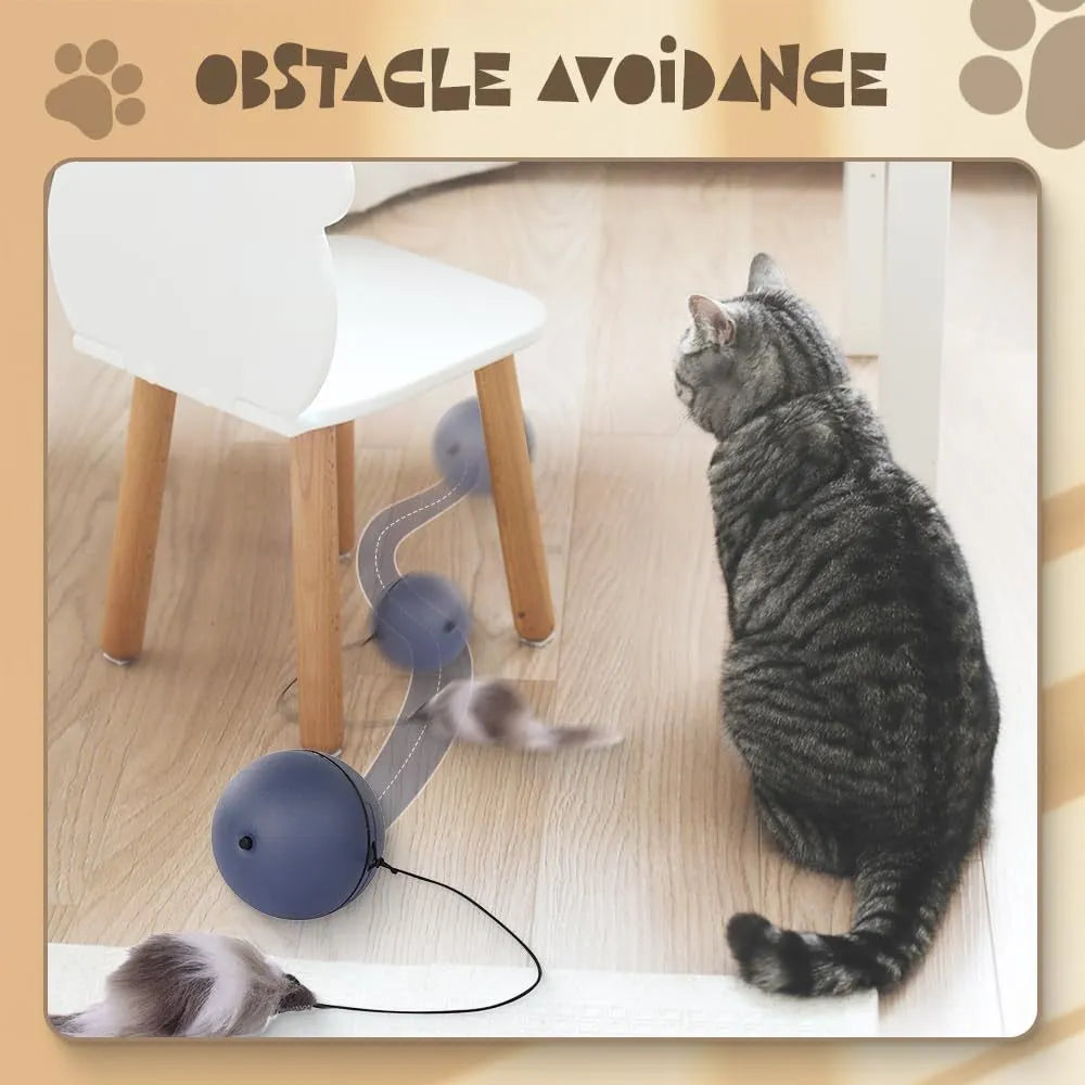 Automatic self-rolling blue and orange ball toy for cats and dogs on indoor floor