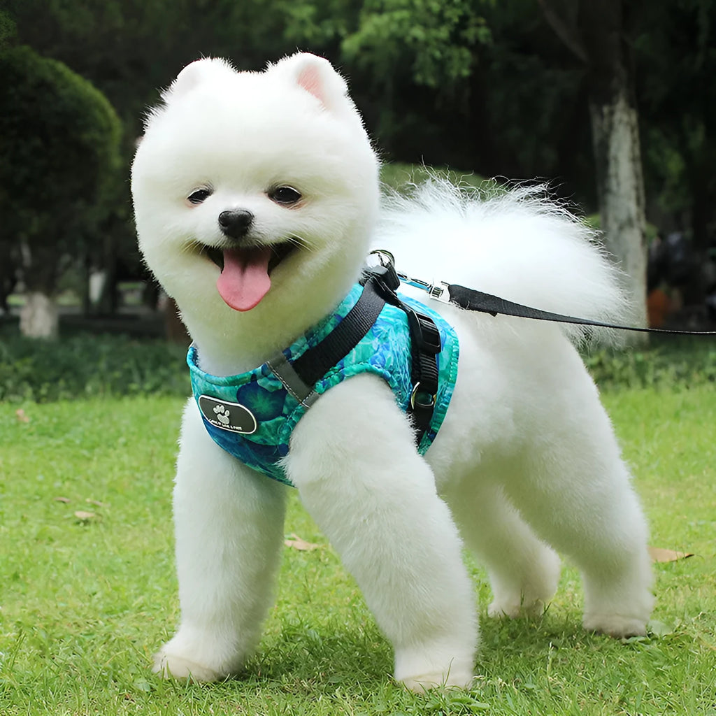 Dog vest traction chest strap in pure cotton, blue ocean colour, sizes XS to XL