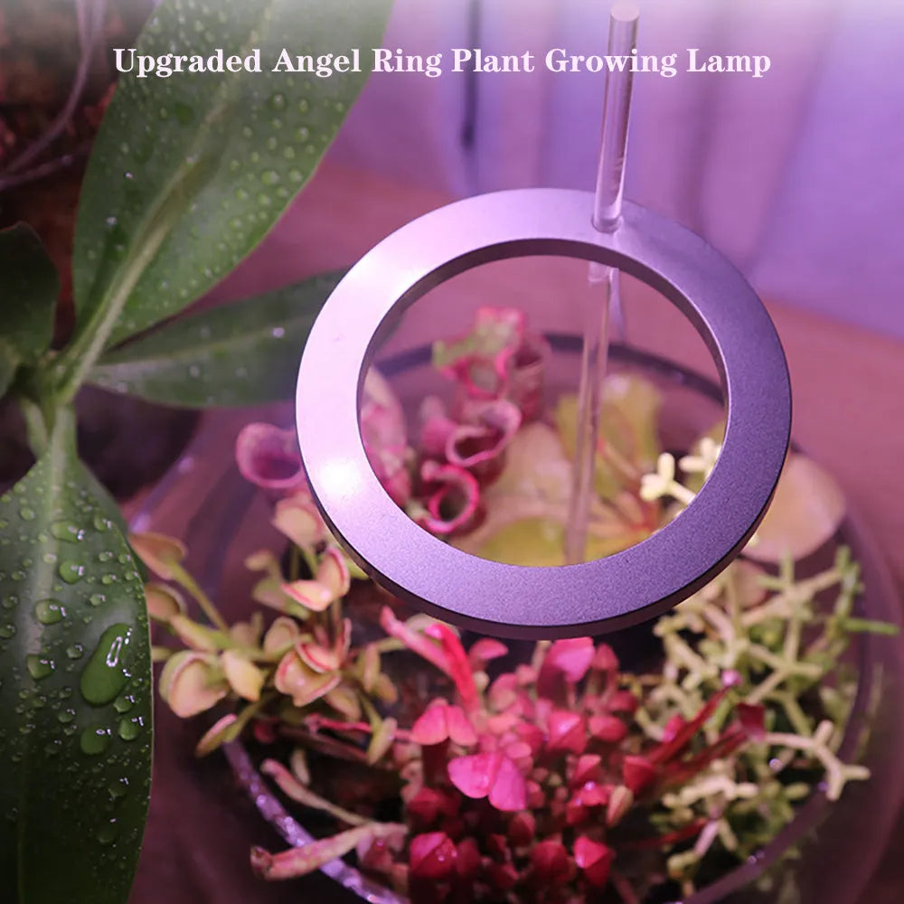USB-powered full spectrum LED grow light angel ring phytolamp for indoor plants