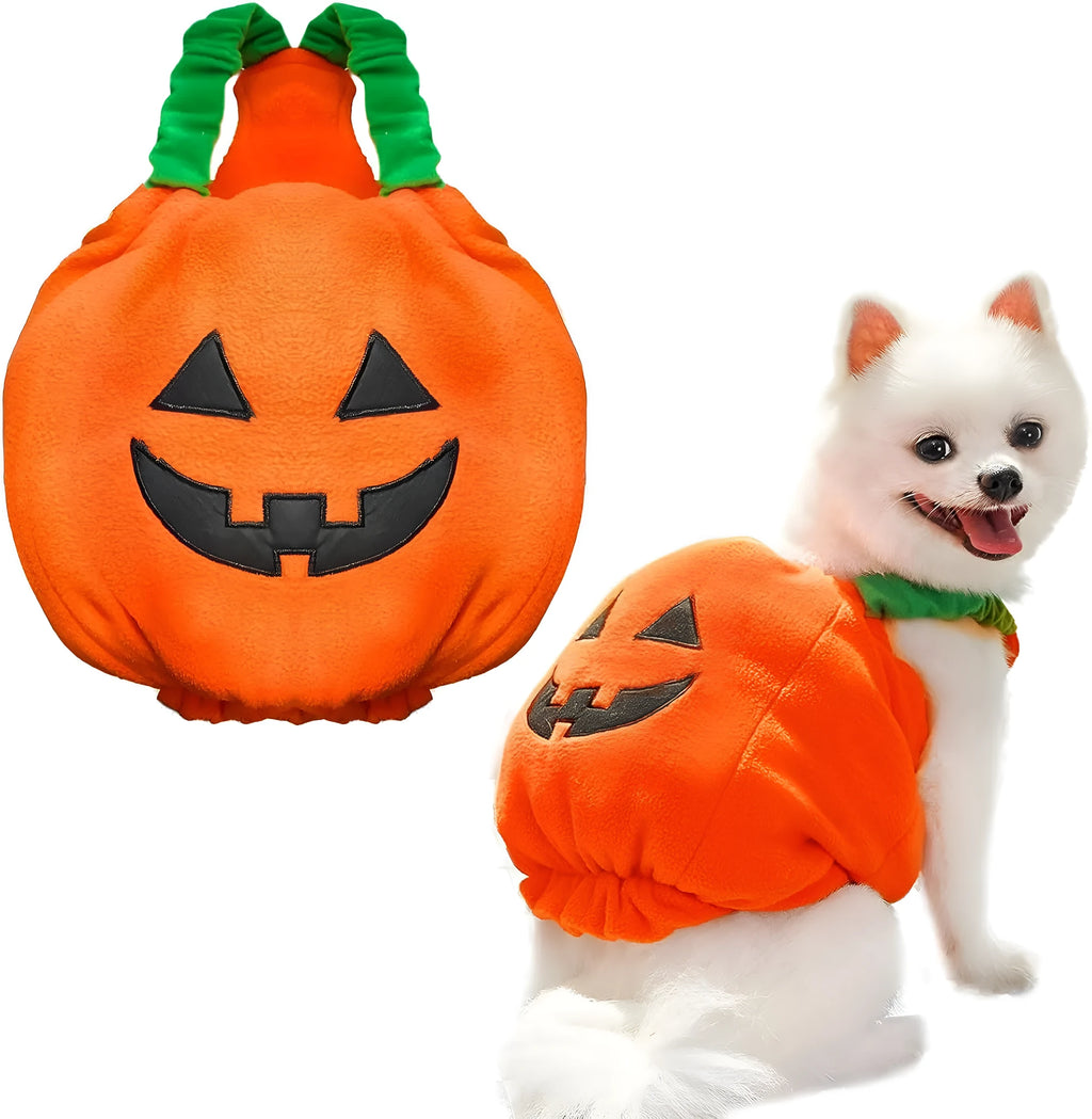 Orange plush pumpkin Halloween costume on a small dog, showing pullover design and fluffy material.